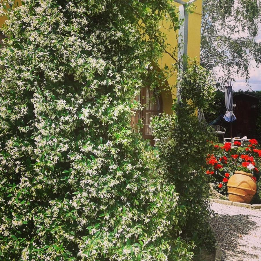 Alice'S Room By Casolare Isabella Ponsacco Exterior photo